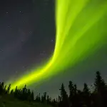星空と針葉樹林の上空に広がる鮮やかな緑色のオーロラ